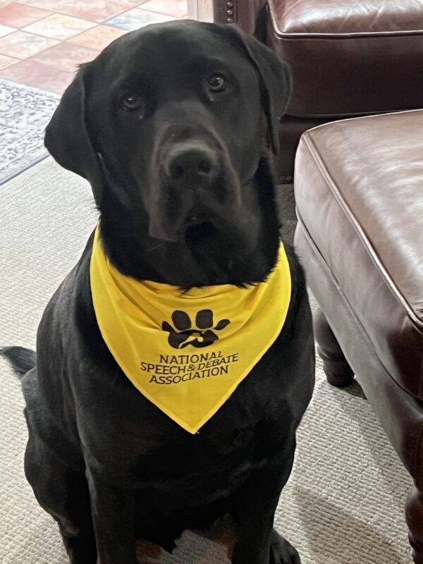 Pet Bandana - NSDA Sparky Paw Print - Image 3