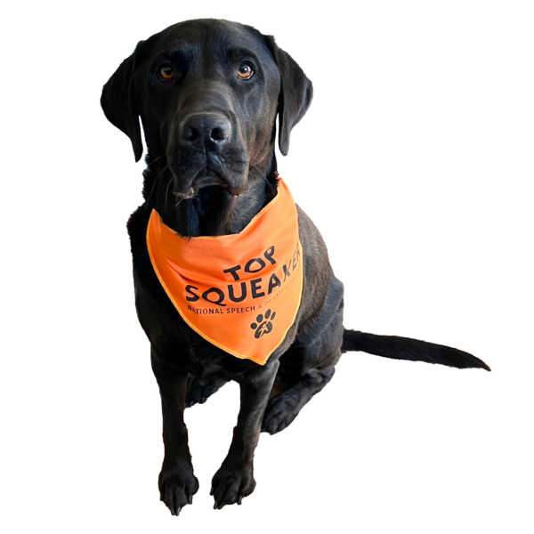 Pet Bandana - NSDA Top Squeaker