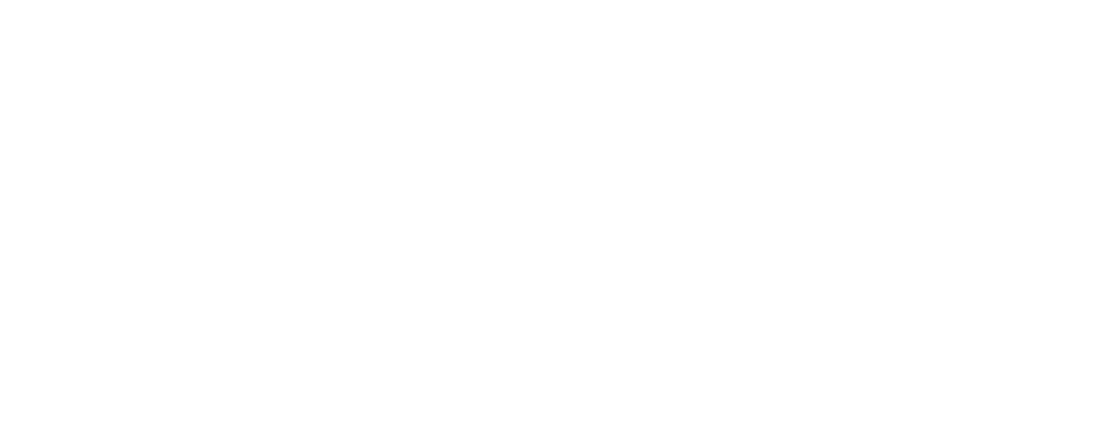 NSDA Logo
